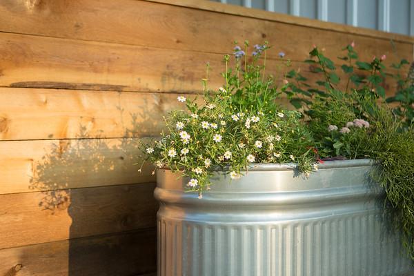 Mustard Seed B&B On The Llano Buitenkant foto